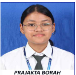 prajukta braoh.png
